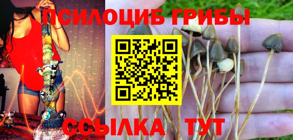 Новоалтайск  Псилоцибиновые грибы Magic Shrooms  Вход с VPN 