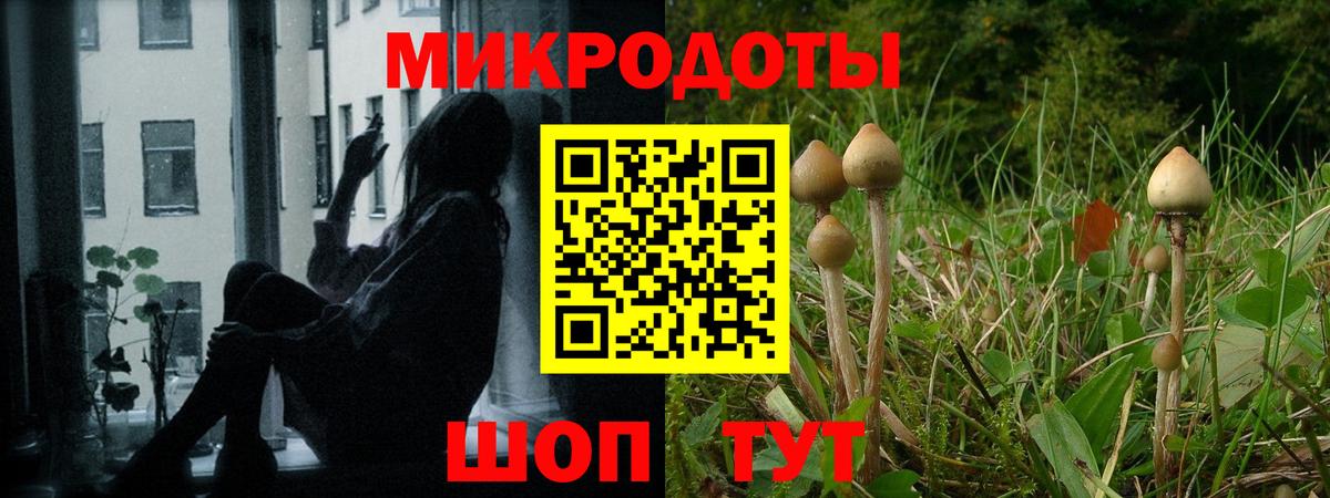 Псилоцибиновые грибы MAGIC MUSHROOMS Новоалтайск
